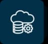 Web App Development icon